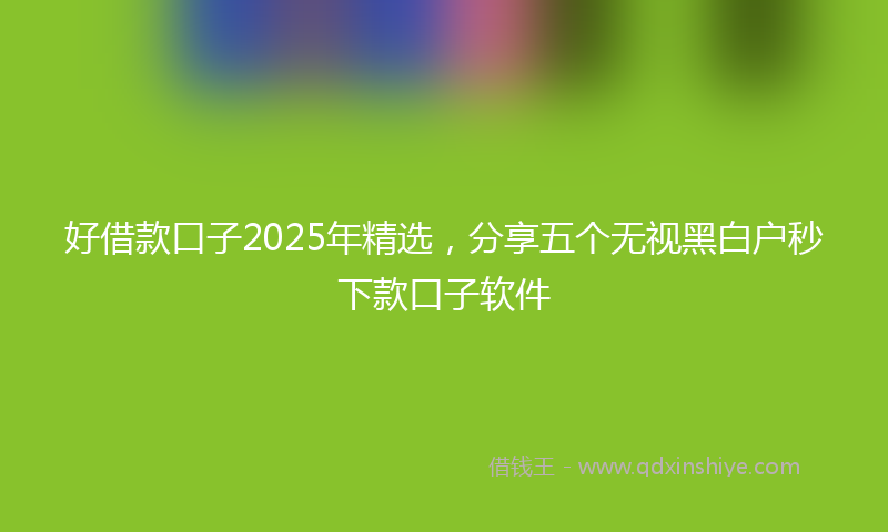 好借款口子2025年精选，分享五个无视黑白户秒下款口子软件