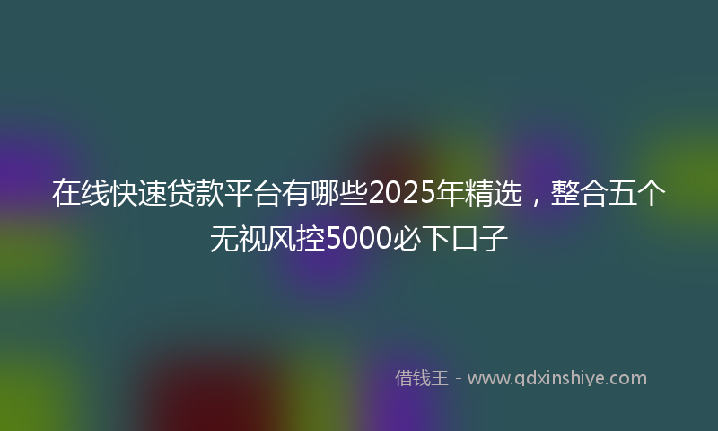 在线快速贷款平台有哪些2025年精选，整合五个无视风控5000必下口子