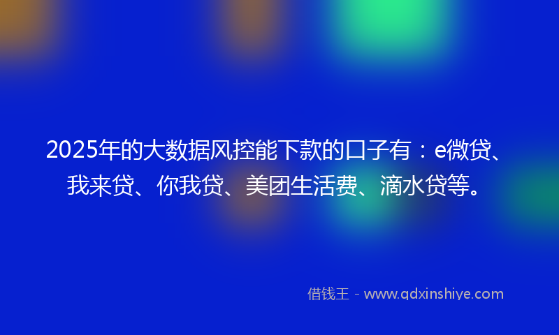 2025年的大数据风控能下款的口子有：e微贷、我来贷、你我贷、美团生活费、滴水贷等。