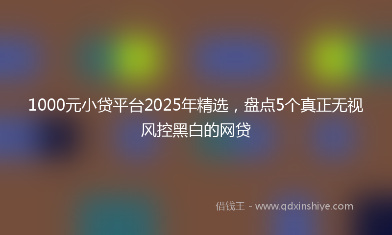 1000元小贷平台2025年精选，盘点5个真正无视风控黑白的网贷