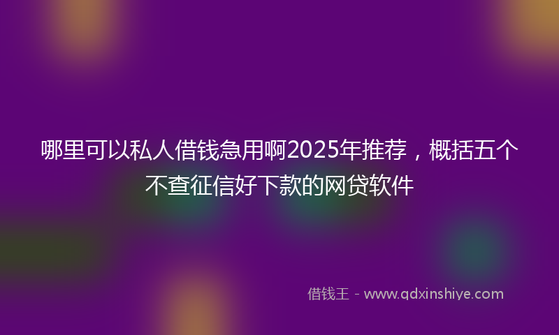 哪里可以私人借钱急用啊2025年推荐，概括五个不查征信好下款的网贷软件