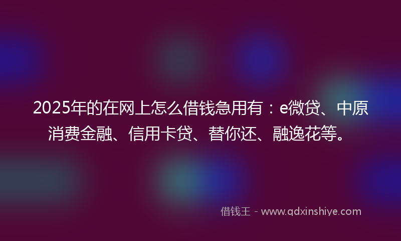2025年的在网上怎么借钱急用有：e微贷、中原消费金融、信用卡贷、替你还、融逸花等。