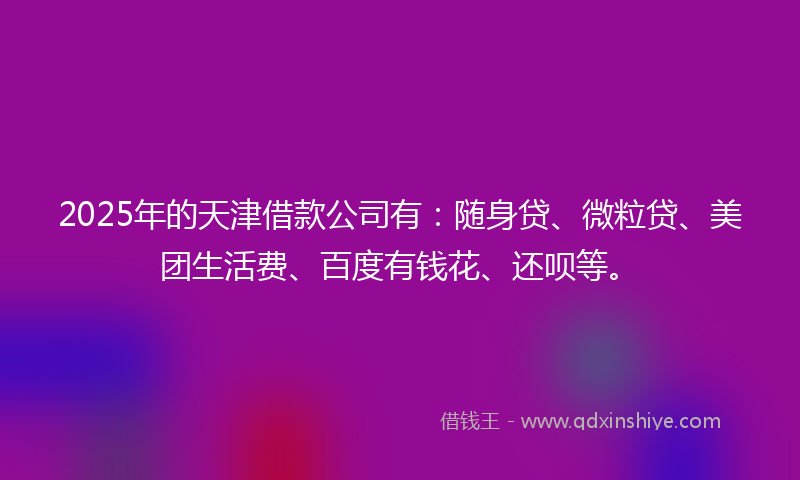 2025年的天津借款公司有：随身贷、微粒贷、美团生活费、百度有钱花、还呗等。