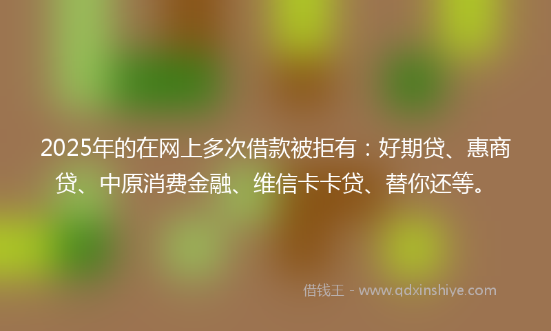 2025年的在网上多次借款被拒有：好期贷、惠商贷、中原消费金融、维信卡卡贷、替你还等。