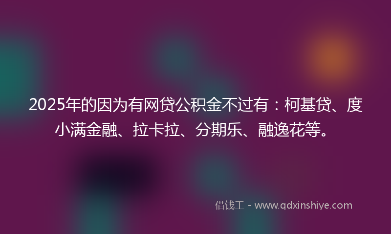 2025年的因为有网贷公积金不过有：柯基贷、度小满金融、拉卡拉、分期乐、融逸花等。