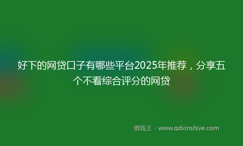 好下的网贷口子有哪些平台2025年推荐，分享五个不看综合评分的网贷
