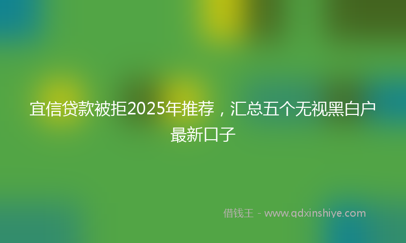 宜信贷款被拒2025年推荐，汇总五个无视黑白户最新口子