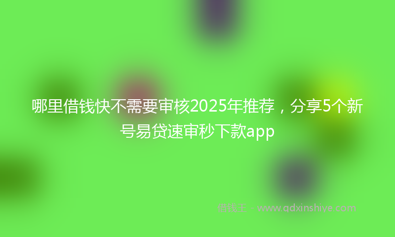哪里借钱快不需要审核2025年推荐，分享5个新号易贷速审秒下款app