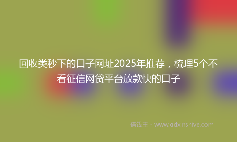 回收类秒下的口子网址2025年推荐，梳理5个不看征信网贷平台放款快的口子