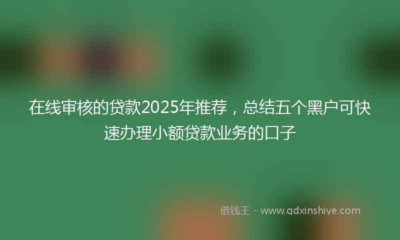 在线审核的贷款2025年推荐，总结五个黑户可快速办理小额贷款业务的口子