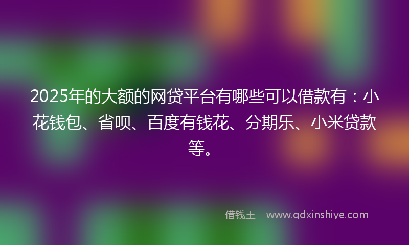 2025年的大额的网贷平台有哪些可以借款有：小花钱包、省呗、百度有钱花、分期乐、小米贷款等。