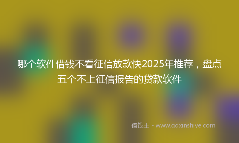 哪个软件借钱不看征信放款快2025年推荐，盘点五个不上征信报告的贷款软件