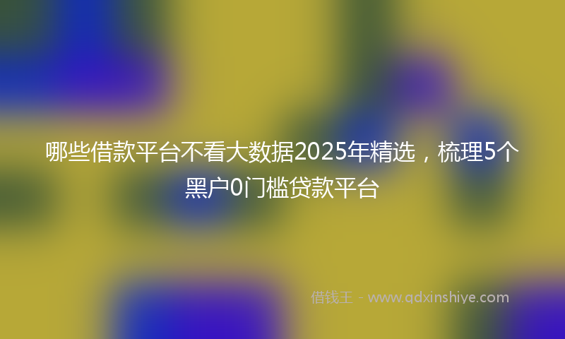 哪些借款平台不看大数据2025年精选，梳理5个黑户0门槛贷款平台