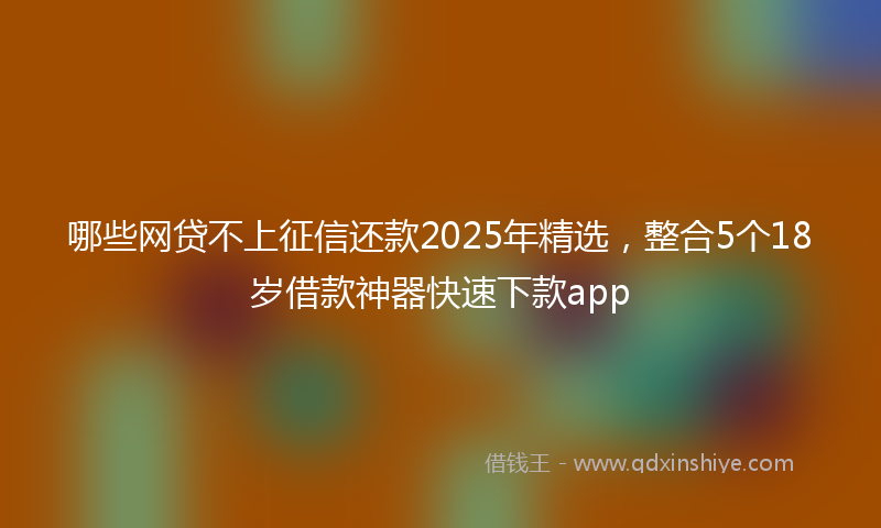 哪些网贷不上征信还款2025年精选，整合5个18岁借款神器快速下款app