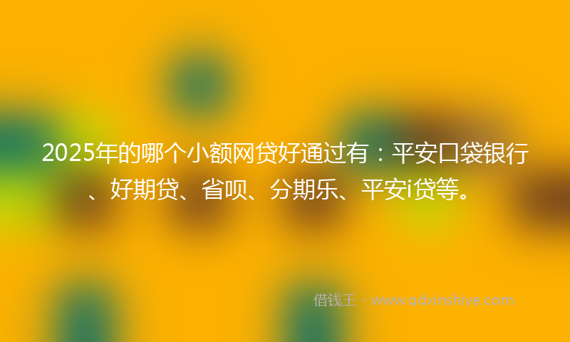 2025年的哪个小额网贷好通过有：平安口袋银行、好期贷、省呗、分期乐、平安i贷等。