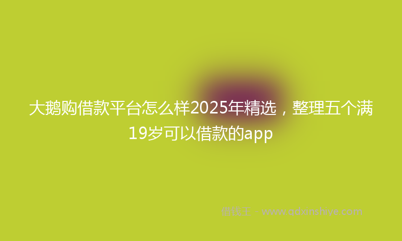 大鹅购借款平台怎么样2025年精选，整理五个满19岁可以借款的app