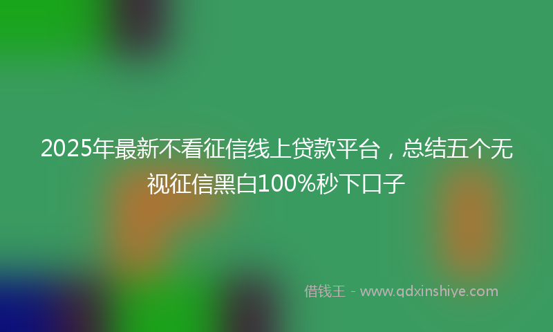 2025年最新不看征信线上贷款平台，总结五个无视征信黑白100%秒下口子