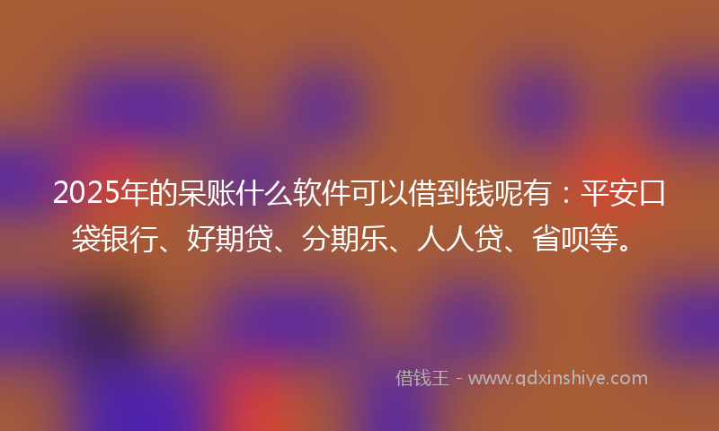 2025年的呆账什么软件可以借到钱呢有：平安口袋银行、好期贷、分期乐、人人贷、省呗等。
