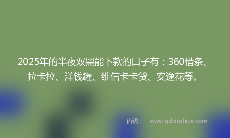 2025年的半夜双黑能下款的口子有：360借条、拉卡拉、洋钱罐、维信卡卡贷、安逸花等。