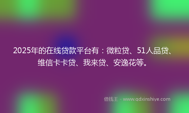 2025年的在线贷款平台有：微粒贷、51人品贷、维信卡卡贷、我来贷、安逸花等。