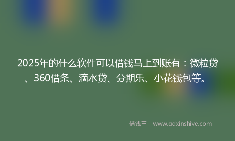 2025年的什么软件可以借钱马上到账有：微粒贷、360借条、滴水贷、分期乐、小花钱包等。