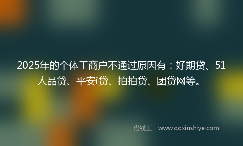 2025年的个体工商户不通过原因有：好期贷、51人品贷、平安i贷、拍拍贷、团贷网等。
