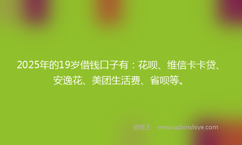 2025年的19岁借钱口子有：花呗、维信卡卡贷、安逸花、美团生活费、省呗等。