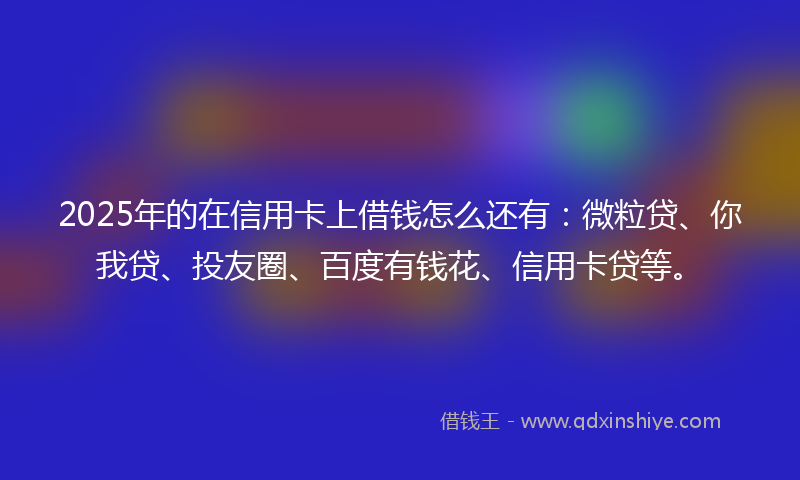 2025年的在信用卡上借钱怎么还有：微粒贷、你我贷、投友圈、百度有钱花、信用卡贷等。