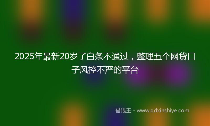 2025年最新20岁了白条不通过，整理五个网贷口子风控不严的平台