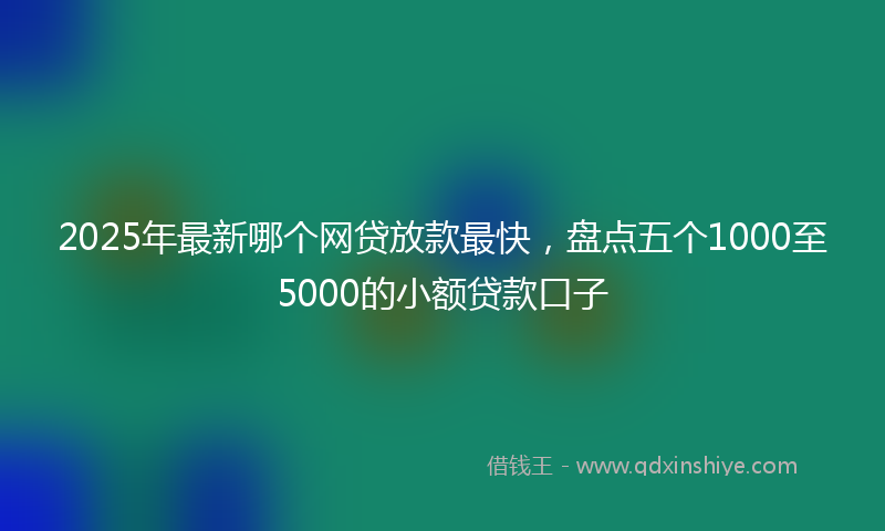 2025年最新哪个网贷放款最快，盘点五个1000至5000的小额贷款口子