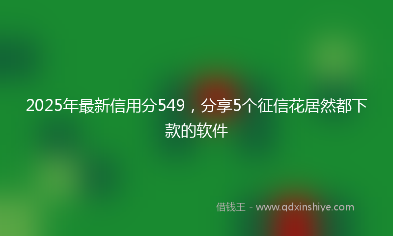 2025年最新信用分549，分享5个征信花居然都下款的软件