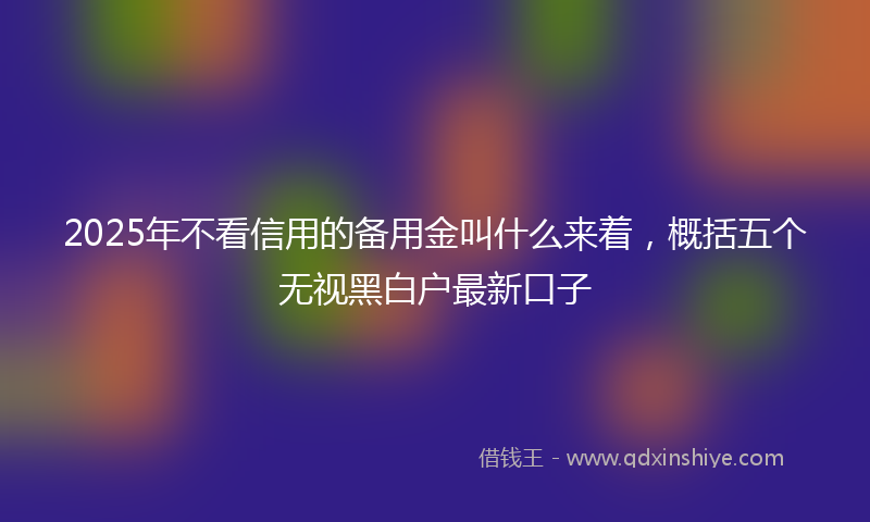 2025年不看信用的备用金叫什么来着，概括五个无视黑白户最新口子