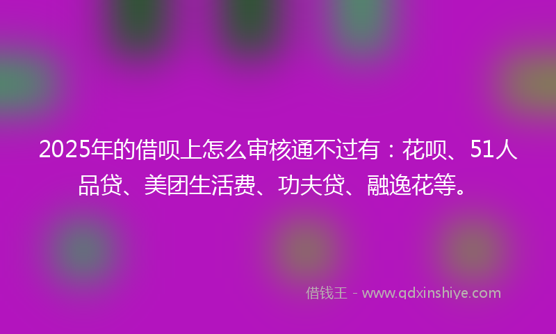 2025年的借呗上怎么审核通不过有：花呗、51人品贷、美团生活费、功夫贷、融逸花等。