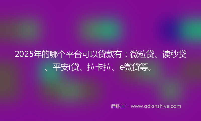 2025年的哪个平台可以贷款有：微粒贷、读秒贷、平安i贷、拉卡拉、e微贷等。