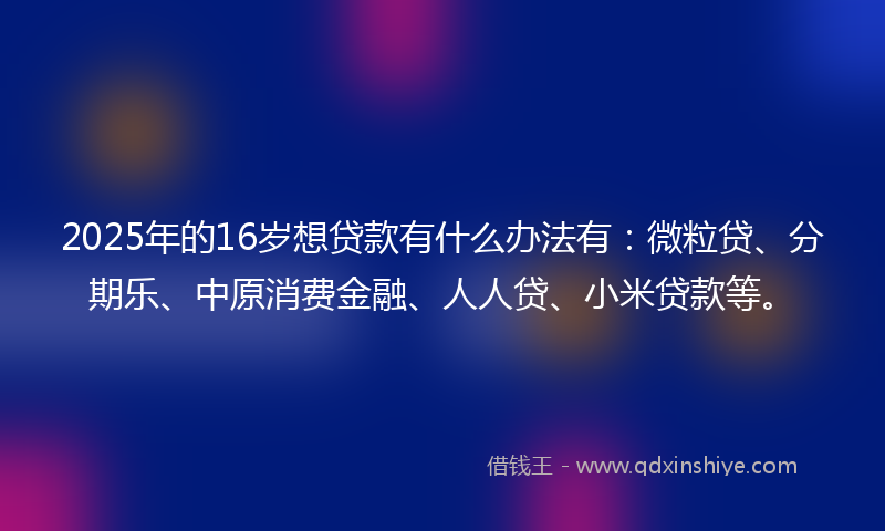 2025年的16岁想贷款有什么办法有：微粒贷、分期乐、中原消费金融、人人贷、小米贷款等。