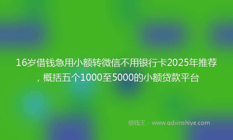 16岁借钱急用小额转微信不用银行卡2025年推荐，概括五个1000至5000的小额贷款平台