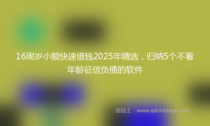 16周岁小额快速借钱2025年精选，归纳5个不看年龄征信负债的软件