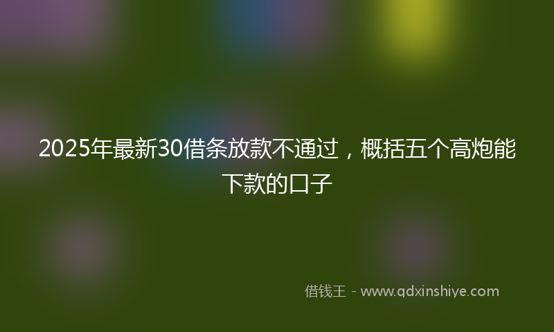 2025年最新30借条放款不通过，概括五个高炮能下款的口子