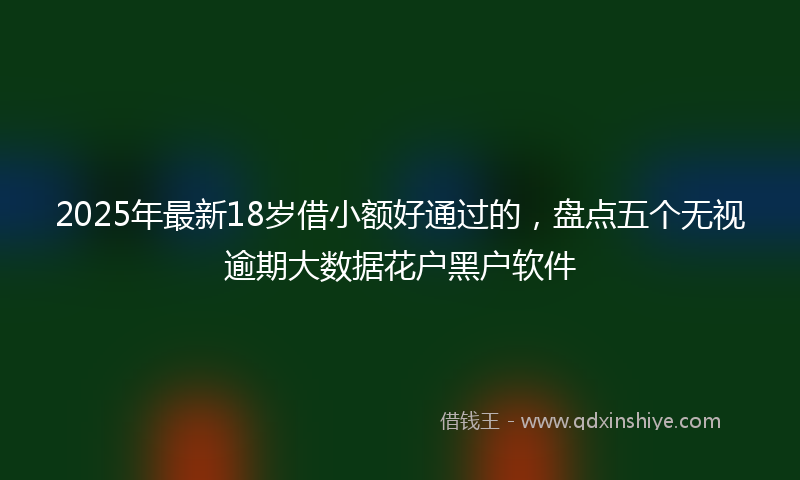 2025年最新18岁借小额好通过的，盘点五个无视逾期大数据花户黑户软件