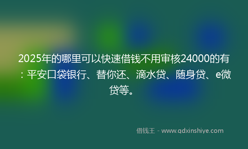 2025年的哪里可以快速借钱不用审核24000的有：平安口袋银行、替你还、滴水贷、随身贷、e微贷等。