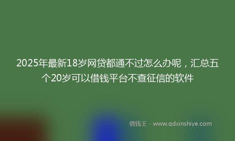 2025年最新18岁网贷都通不过怎么办呢，汇总五个20岁可以借钱平台不查征信的软件