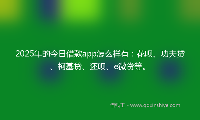 2025年的今日借款app怎么样有:花呗、功夫贷、柯基贷、还呗、e微贷等。