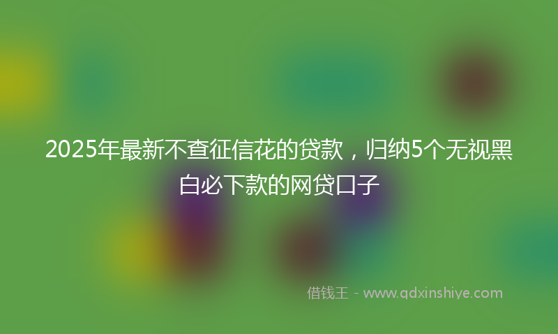 2025年最新不查征信花的贷款，归纳5个无视黑白必下款的网贷口子