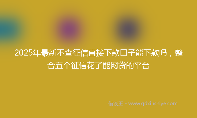 2025年最新不查征信直接下款口子能下款吗，整合五个征信花了能网贷的平台