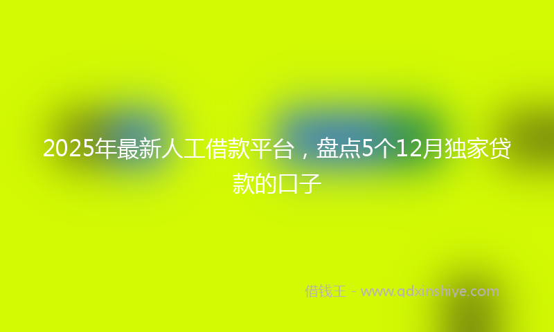 2025年最新人工借款平台，盘点5个12月独家贷款的口子