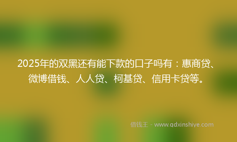 2025年的双黑还有能下款的口子吗有：惠商贷、微博借钱、人人贷、柯基贷、信用卡贷等。