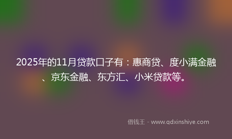 2025年的11月贷款口子有：惠商贷、度小满金融、京东金融、东方汇、小米贷款等。