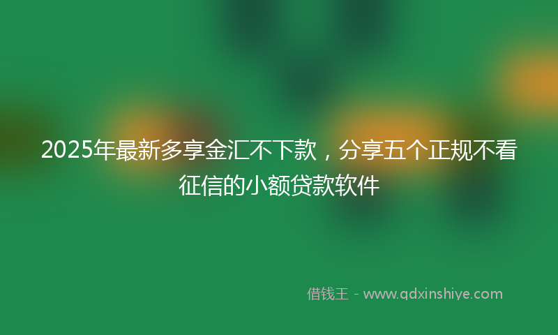2025年最新多享金汇不下款，分享五个正规不看征信的小额贷款软件