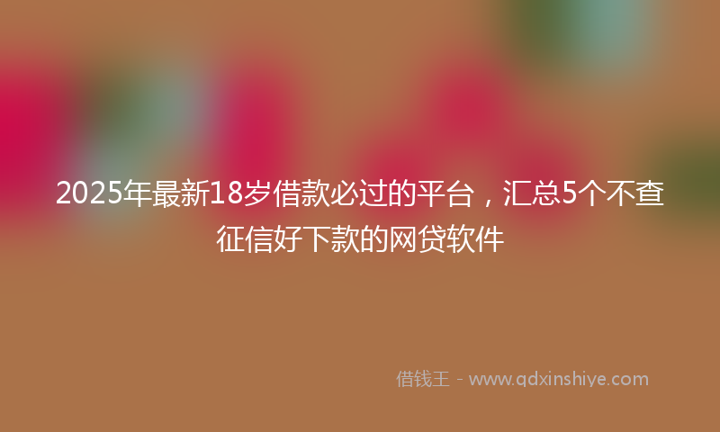 2025年最新18岁借款必过的平台，汇总5个不查征信好下款的网贷软件