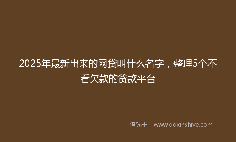 2025年最新出来的网贷叫什么名字，整理5个不看欠款的贷款平台